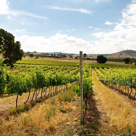 Il Gaggiolo Rispescia