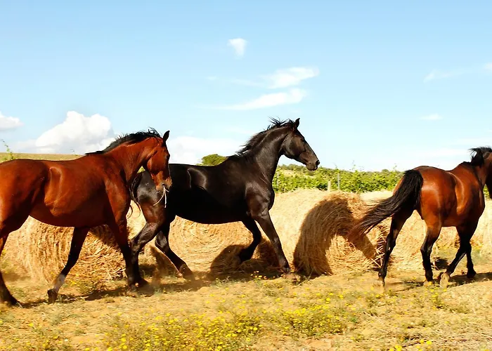 Il Gaggiolo Çiftlik konaklama