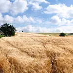 Farmház Il Gaggiolo