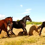 Il Gaggiolo Farmház