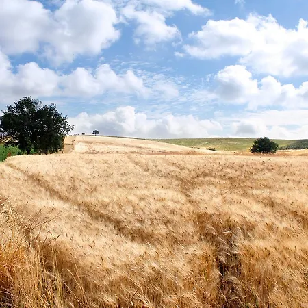 Farm stay Il Gaggiolo